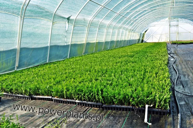 Описание слайда 3