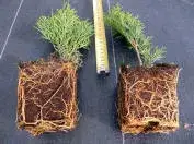 Фотография 1