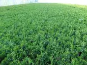 Фотография 6