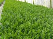 фотография 27